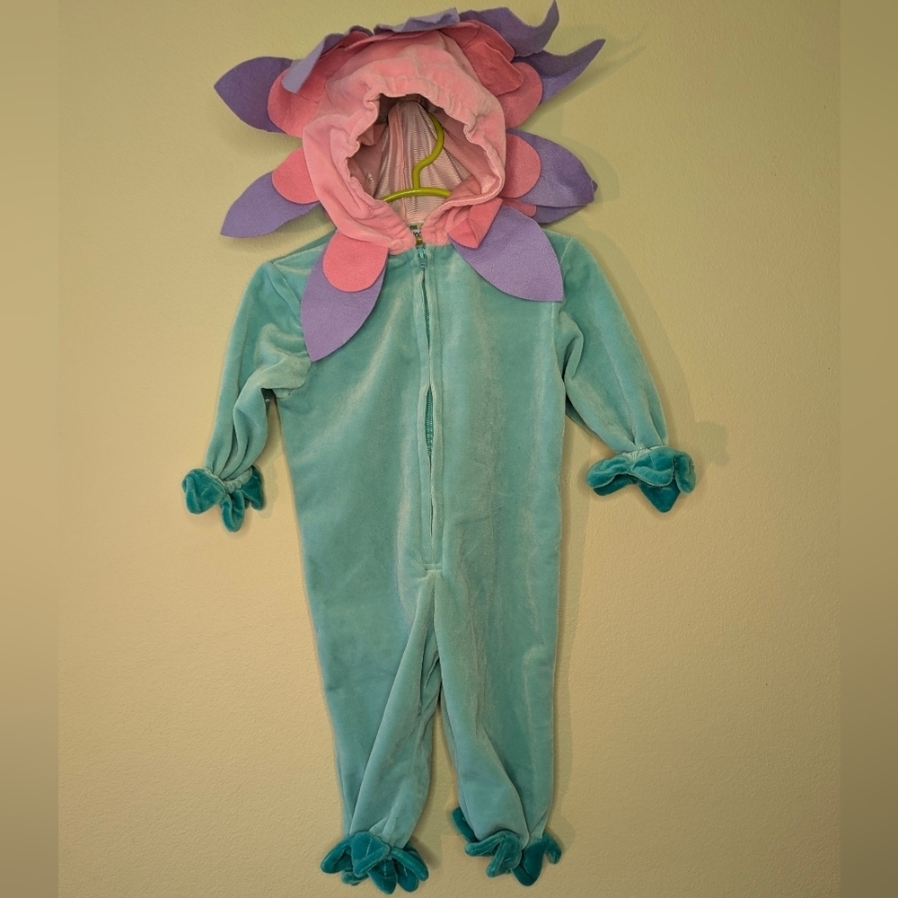 Vintage Miniwear Floral Costume - Pink and Teal 12 Month